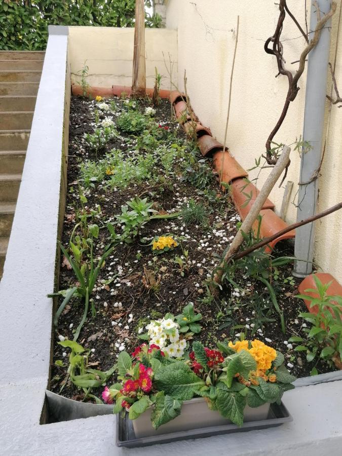 Gite Chez Pierrette Valence-sur-Baise Exterior foto